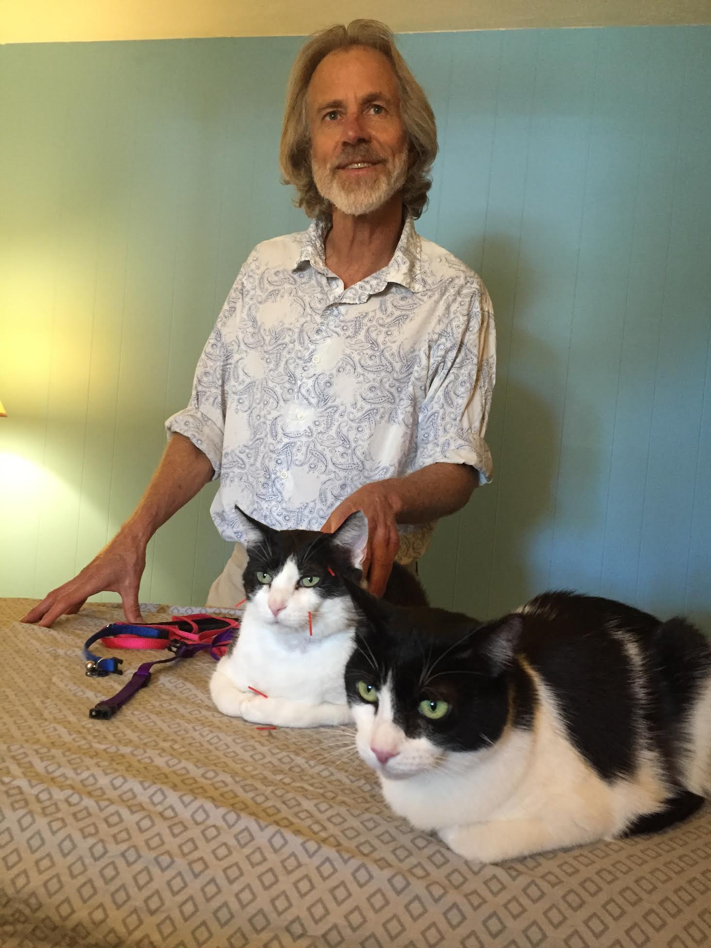 Medical Conditions That Can Be Treated Holistically Sedona Holistic