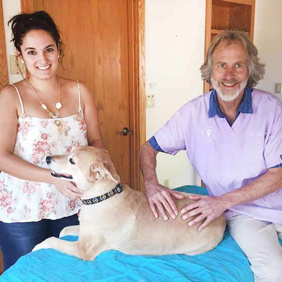Sedona Holistic Veterinarian and Veterinary Services Acupuncture
