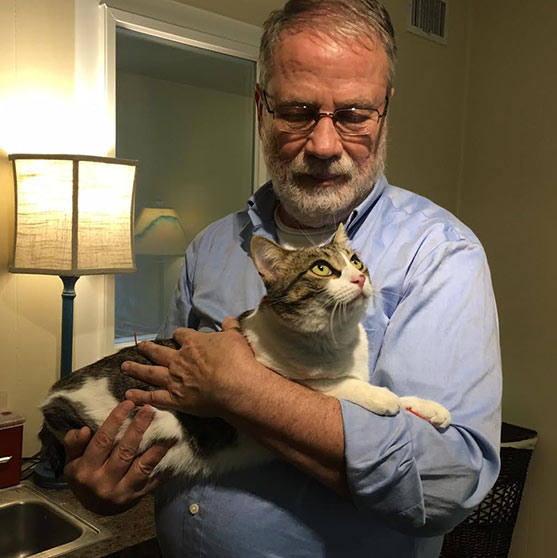 Sedona Holistic Veterinarian and Veterinary Services Acupuncture